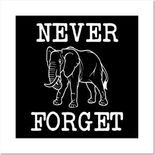 Elephant Never Forget Posters and Art